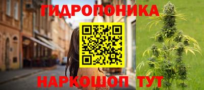 spice Мариинск