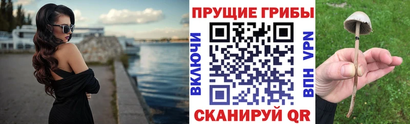 Галлюциногенные грибы MAGIC MUSHROOMS  закладки  OMG зеркало  Орск 